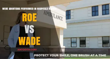 Before Roe v. Wade: Abortion Practices in Hospitals Examined