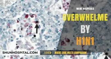 H1N1 Pandemic Impact: Did Hospitals Face Overwhelming Challenges?