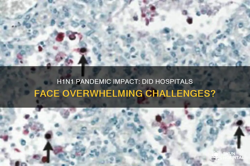 were hospitals overwhelmed by h1n1