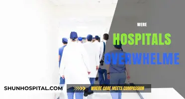 Were Hospitals Overwhelmed? Analyzing Healthcare Capacity During the Crisis