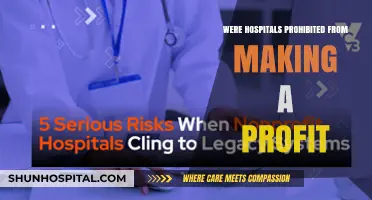 Profit-Making Hospitals: A Historical Perspective