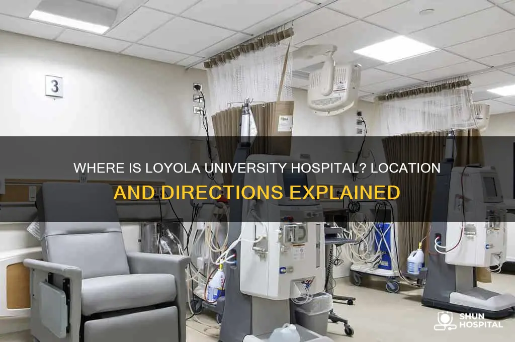 were is loyola univ hospital