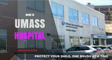 Where is UMass Hospital? A Guide to Its Location and Services
