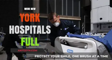 Were New York Hospitals Overwhelmed During the Pandemic Crisis?