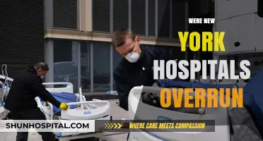 Were New York Hospitals Overwhelmed During the Pandemic Crisis?