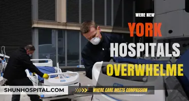 Were New York Hospitals Overwhelmed During the Pandemic Crisis?
