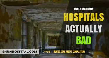 Unveiling the Dark Truth: Were Psychiatric Hospitals Truly Harmful?