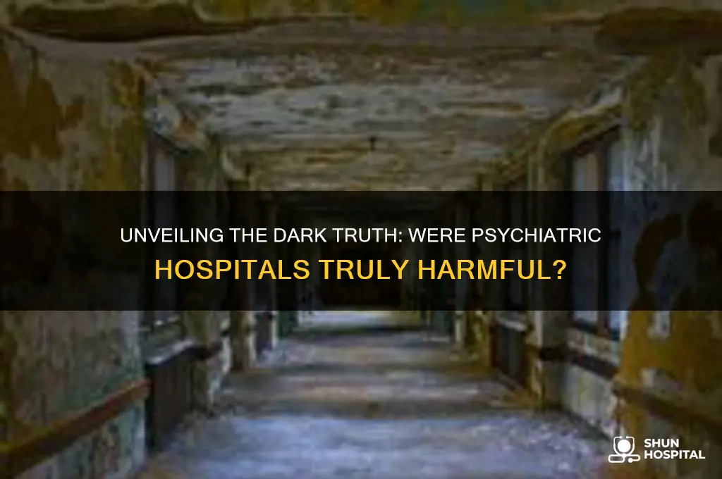 were psychiatric hospitals actually bad