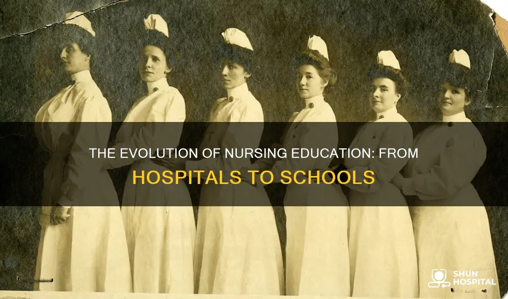 were the first nursing schools caled hospitals
