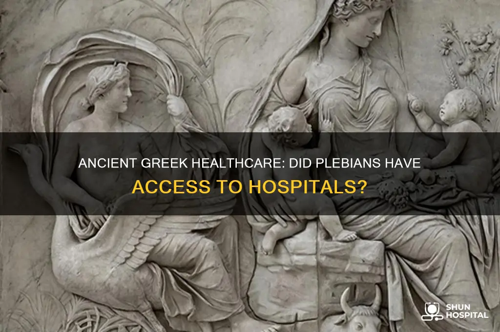 were there hospitals for the plebians in ancient greece