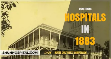 Hospitals in 1883: Uncovering Medical Care in the Late 19th Century