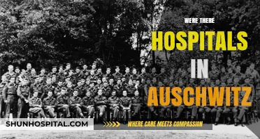 Auschwitz's Dark Medical History: Were There Hospitals in the Camp?