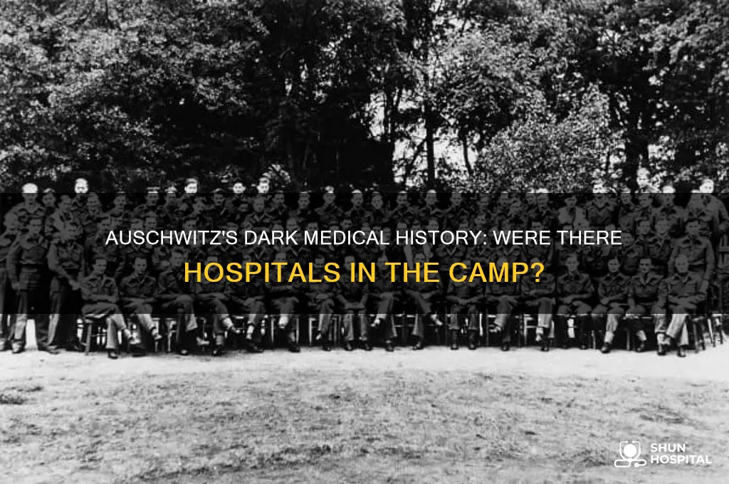 were there hospitals in auschwitz