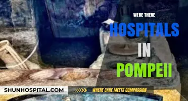 Unveiling Ancient Healthcare: Did Pompeii Have Hospitals?