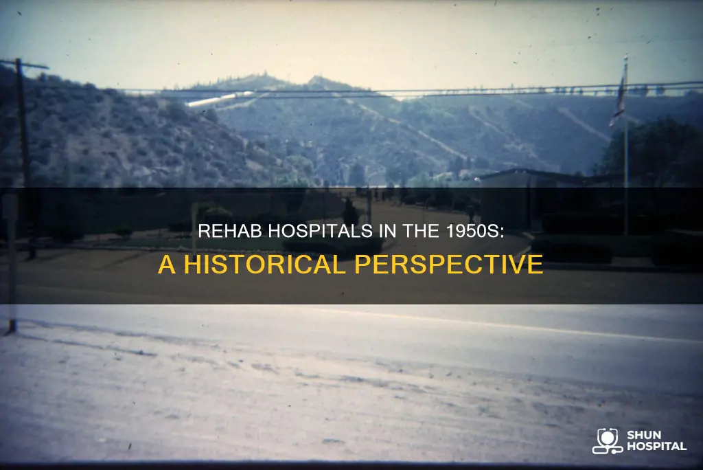 were there rehabilittion hospitals in the 1950s