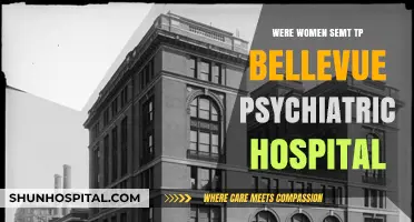 Women in Bellevue: A History of Psychiatric Patients