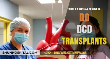 Hospitals Leading DCD Transplants: Top Facilities Saving Lives