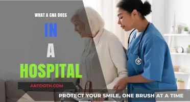 A Day in the Life of a Hospital CNA