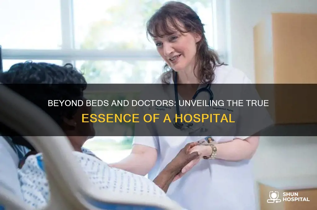 what a hospital really is
