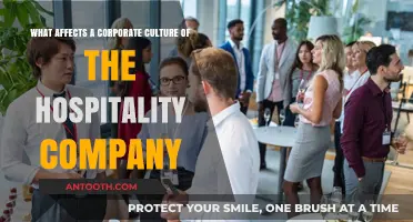 Key Factors Shaping Corporate Culture in Hospitality Companies