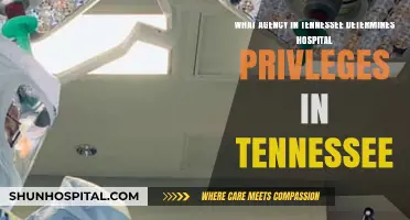 Tennessee Hospital Privileges: The Agency Behind Credentialing and Approval