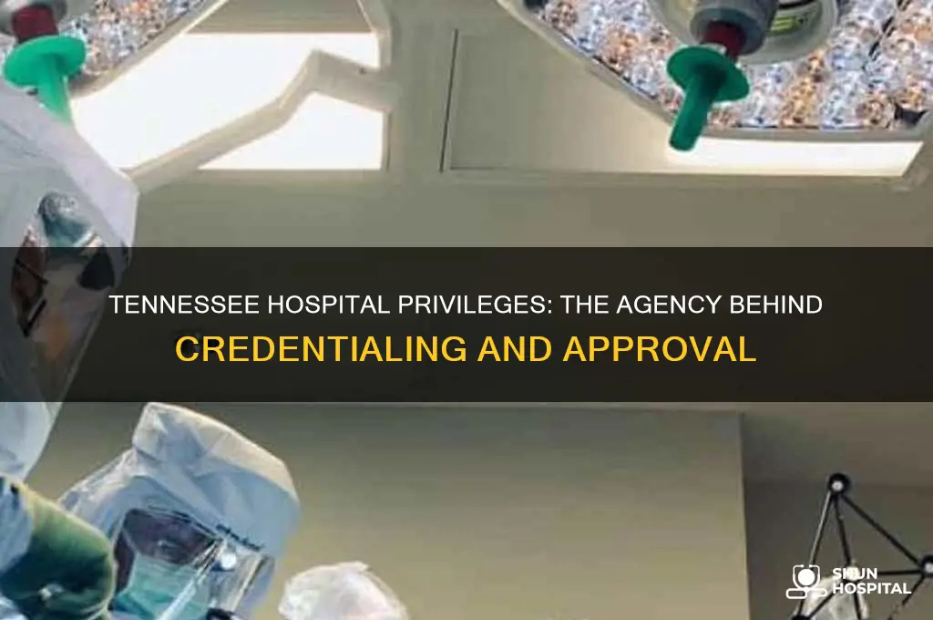 what agency in tennessee determines hospital privleges in tennessee