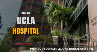 Exploring UCLA Hospital: Services, Innovations, and Patient Care Excellence