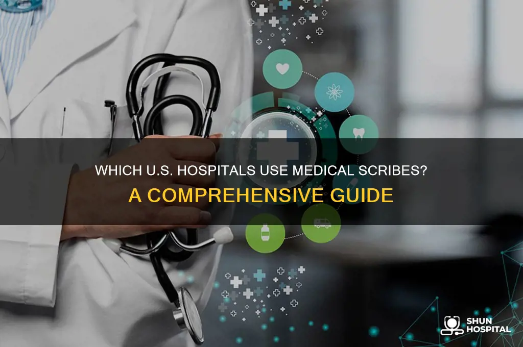 what american hospitals have scribes