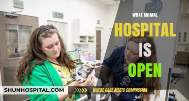 Find 24/7 Emergency Animal Hospitals Near You: Quick Guide