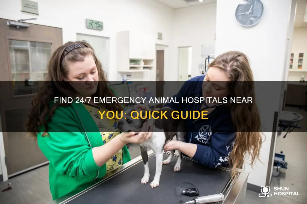 what animal hospital is open