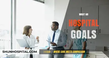 Understanding Hospital Goals: Priorities, Patient Care, and Community Health