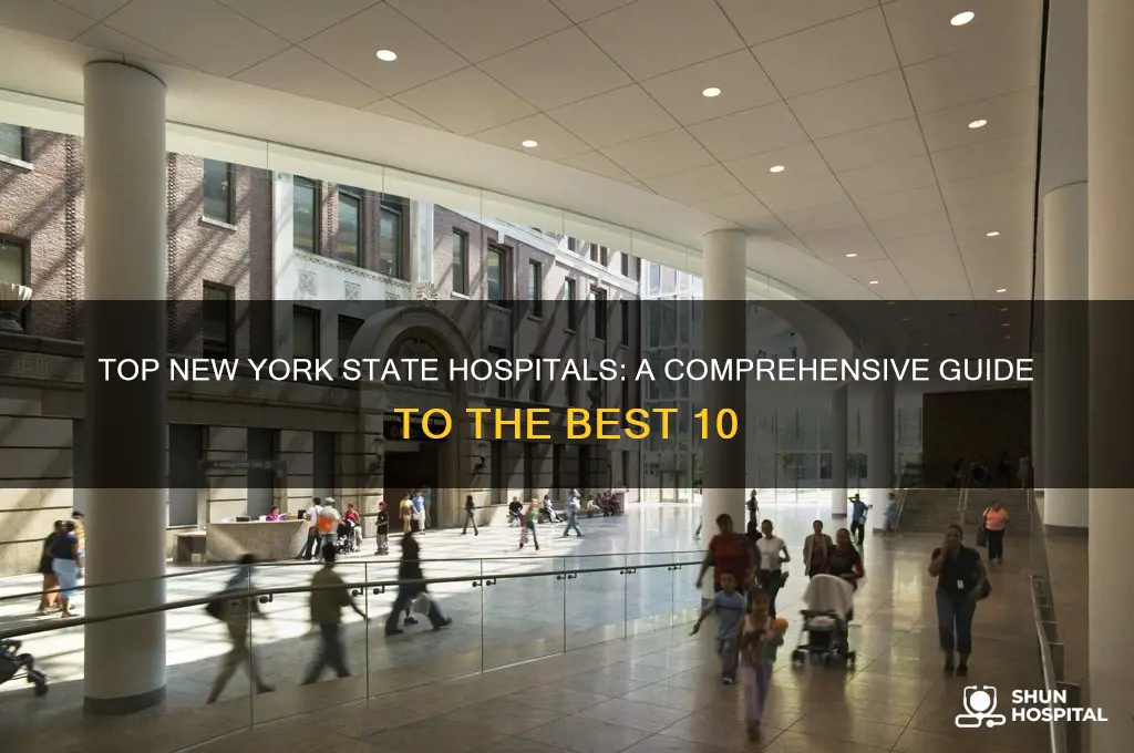 what are 10 best hospitals in new york state