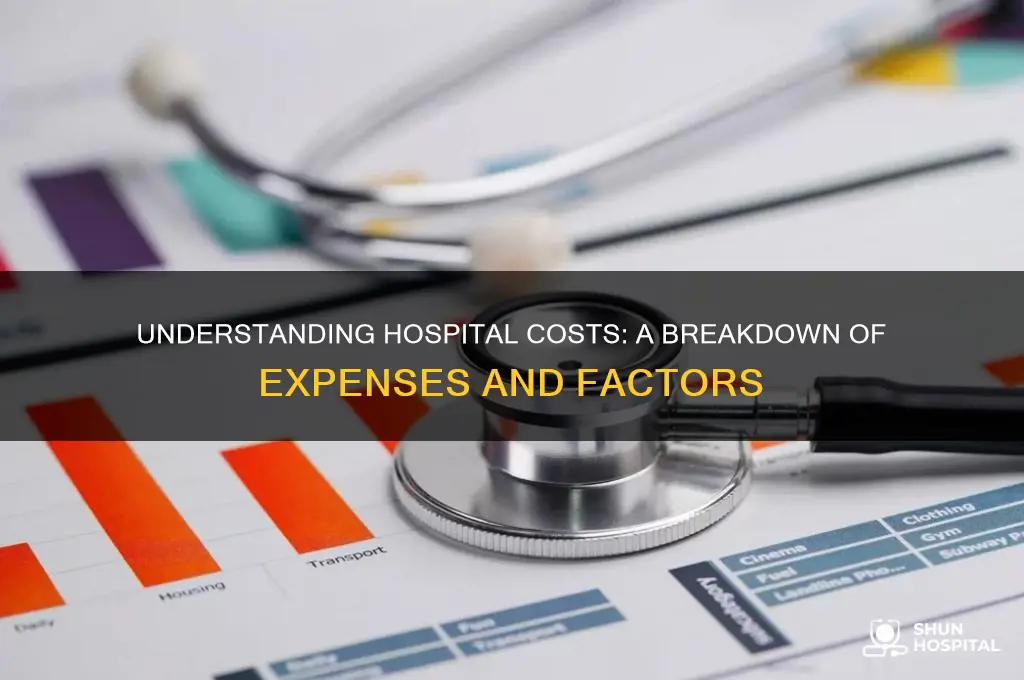 what are a hospitals costs