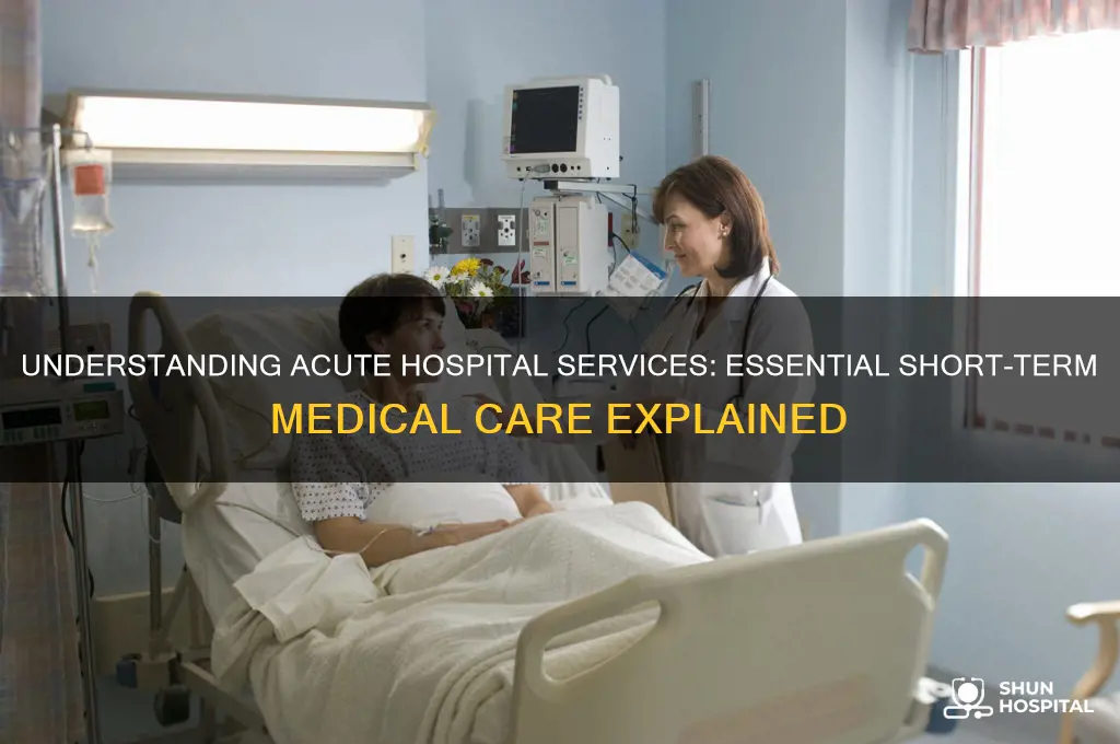 what are acute hospital services