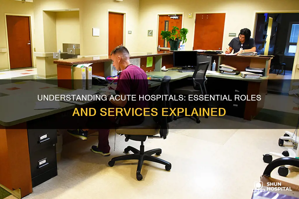 what are acute hospitals