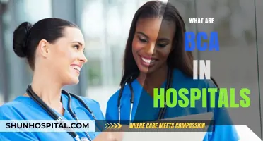 Understanding BCA Roles and Responsibilities in Modern Healthcare Settings
