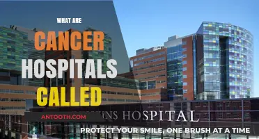 Understanding Specialized Care: What Are Cancer Hospitals Called?