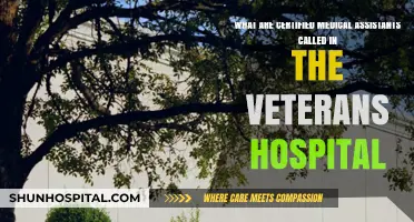 Certified Medical Assistants in Veterans Hospitals: Their Official Title Explained