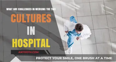 Bridging Cultural Gaps: Overcoming Challenges in Hospital Culture Mergers