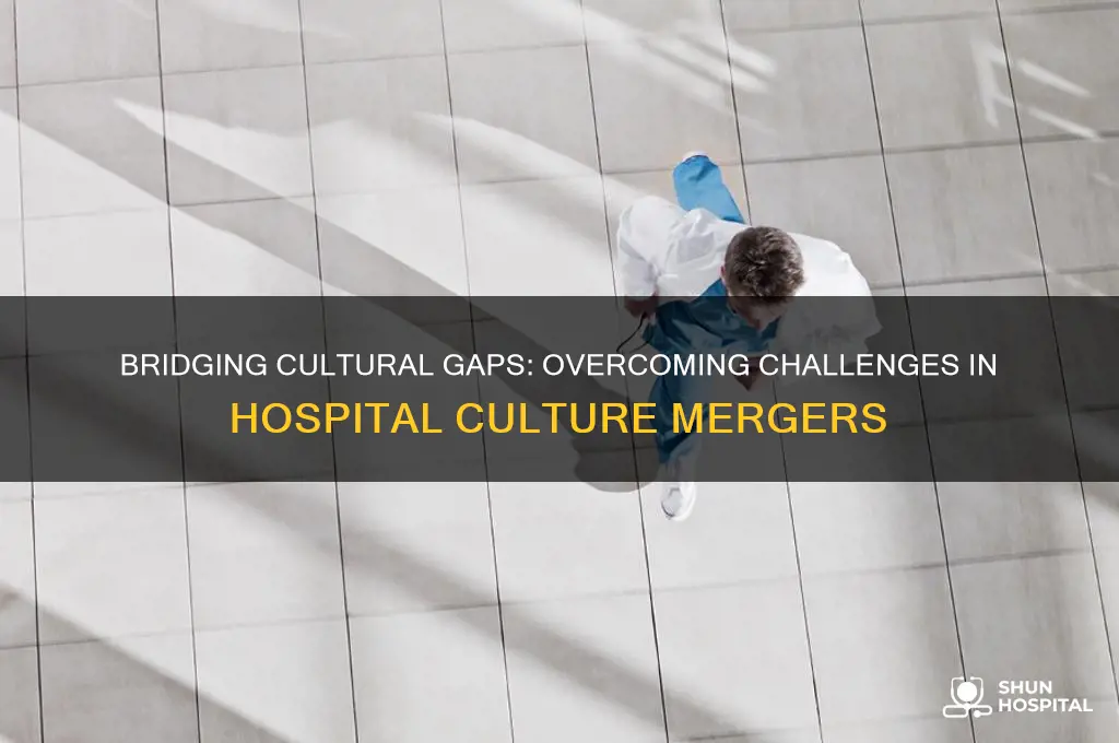 what are challenges in merging the two cultures in hospital