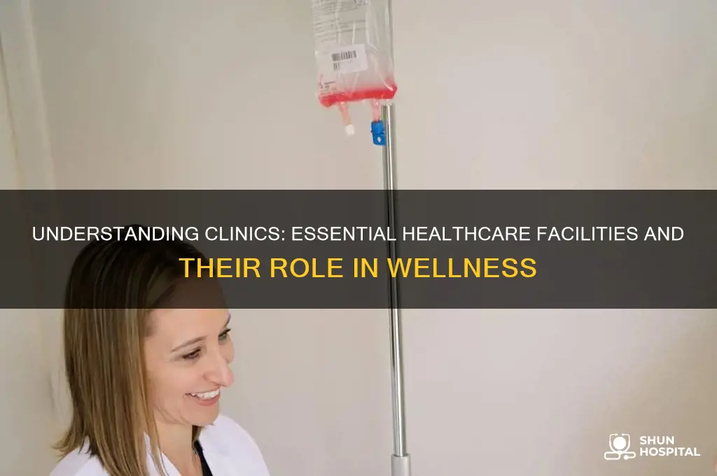 what are clinics
