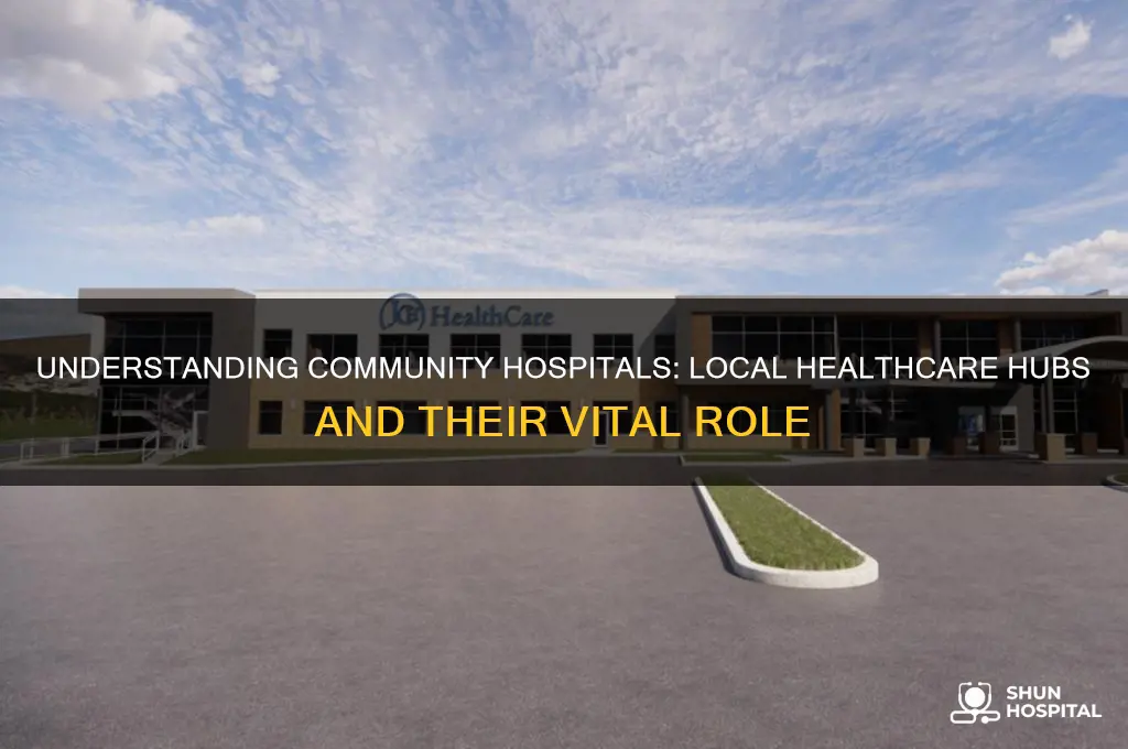 what are community hospitals