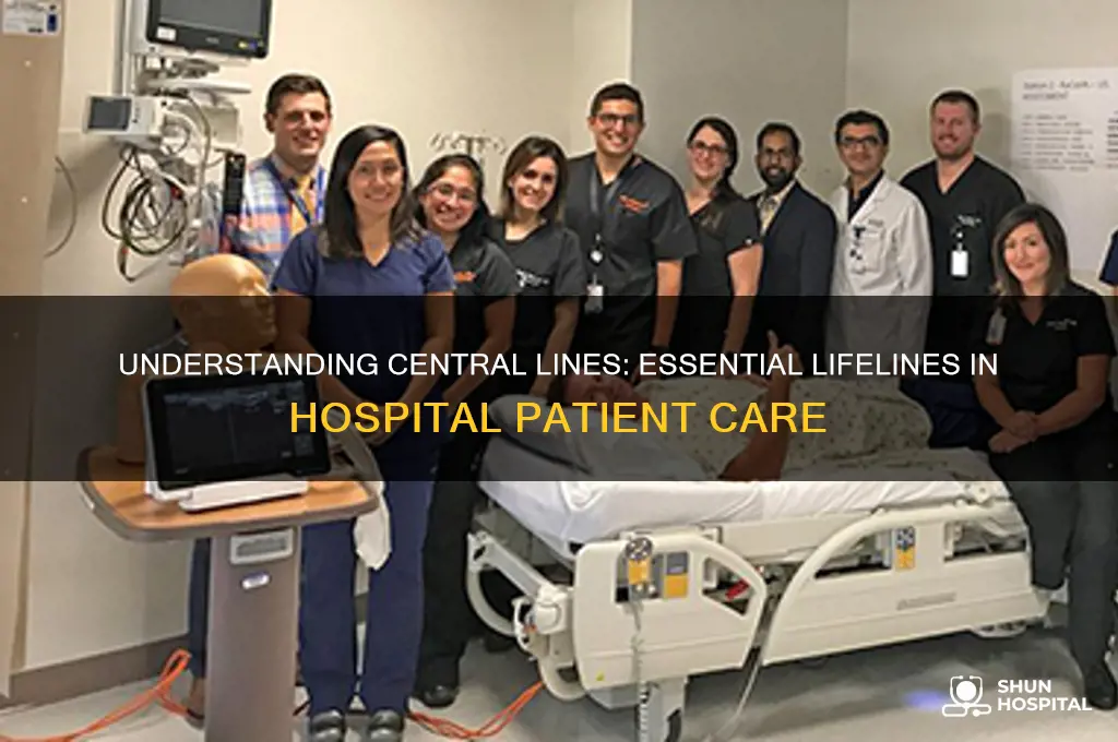 what are considered to be central lines in a hospital