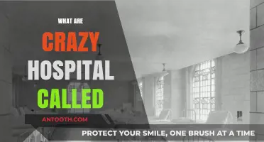 Unveiling the Enigma: What Are Crazy Hospitals Called and Why?