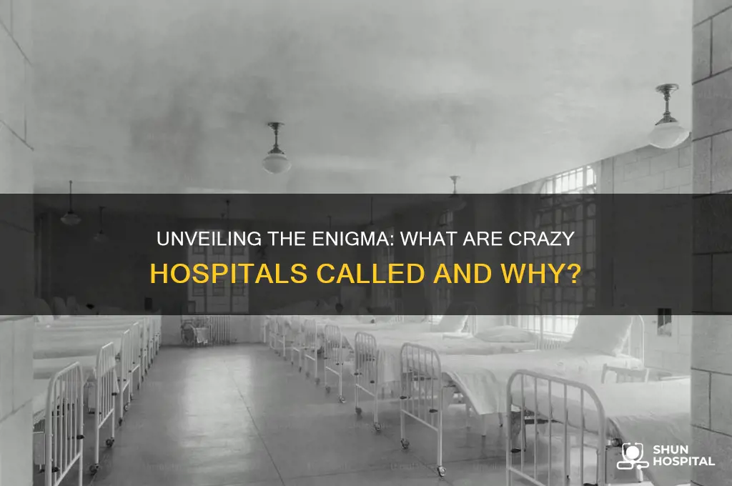 what are crazy hospital called