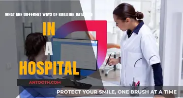 Efficient Hospital Database Construction: Exploring Diverse Development Methods