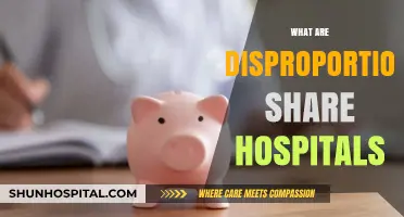 Understanding Disproportionate Share Hospitals: Role, Funding, and Impact