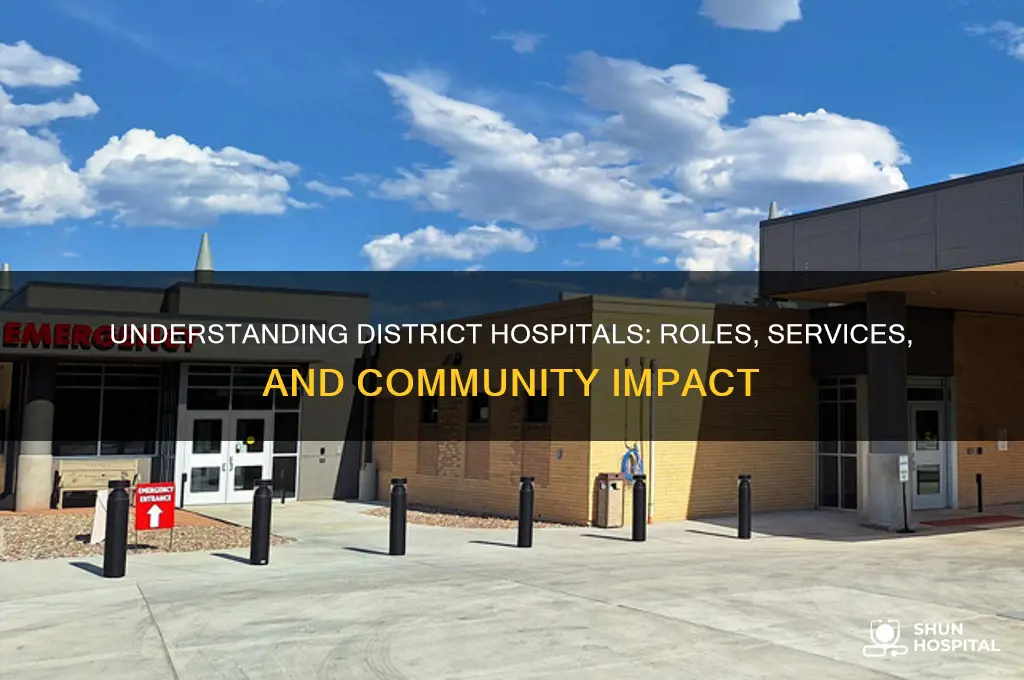 what are district hospitals