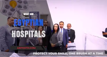 Exploring Egyptian Hospitals: Healthcare, History, and Modern Facilities