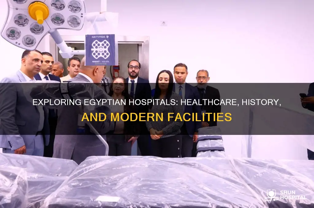 what are egyptian hospitals